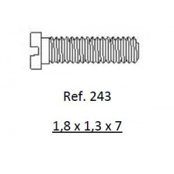 Stainless steel screw - 243